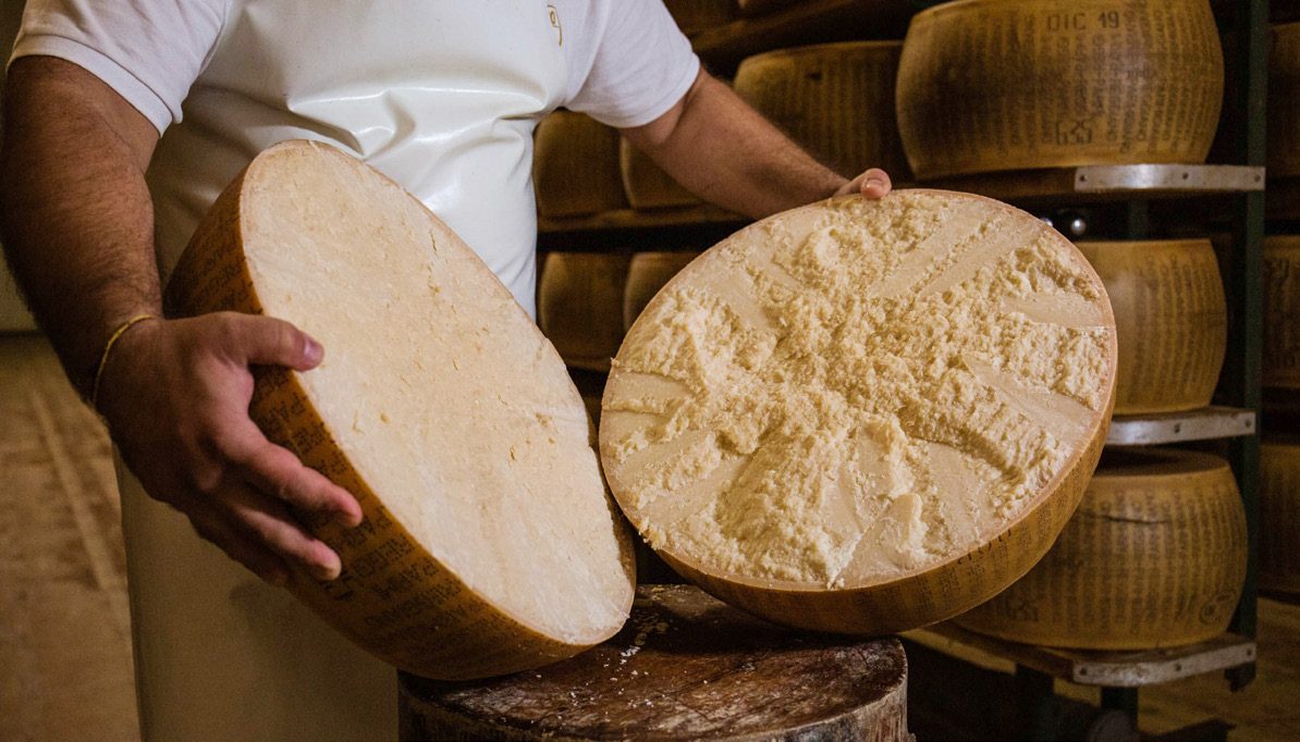 Forme di Parmigiano Reggiano appena aperte