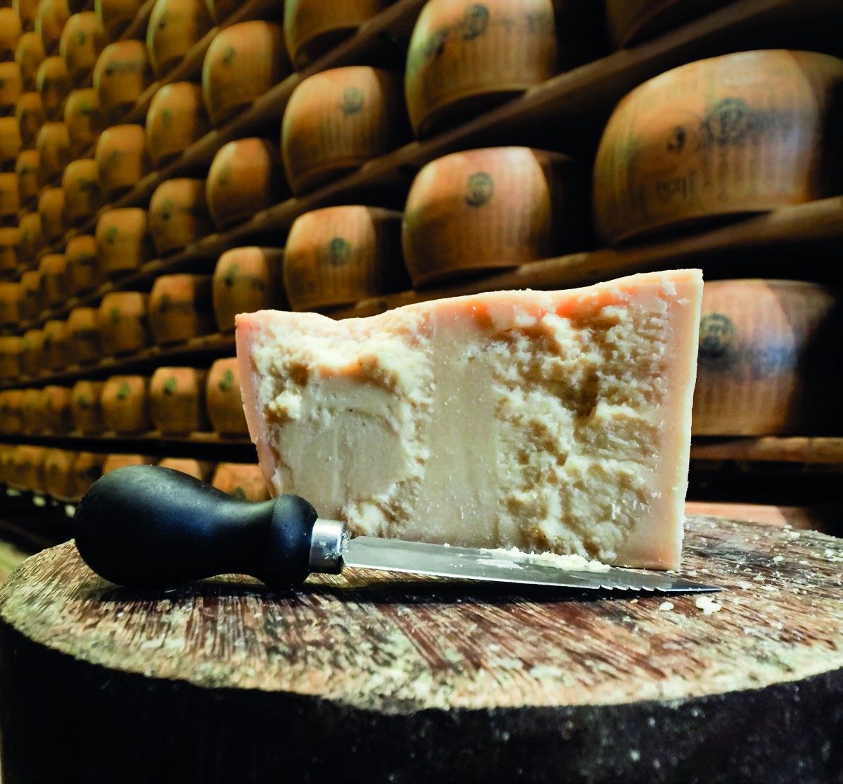 Parmigiano Reggiano in stagionatura